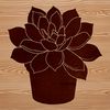 A low-maintenance desert plant with thick fleshy leaves and stems, ideal for indoor gardening.