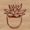 A succulent plant with thick, fleshy leaves and stems in a compact, rounded shape.