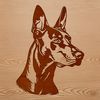 Beautiful Doberman Pinscher Face Design An accurate depiction of a Doberman Pinscher's facial features, useful for creating custom dog clipart and graphics.