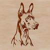 Doberman Pinscher Portrait SVG Illustration A portrait illustration of a Doberman Pinscher dog breed, suitable for graphic design projects.