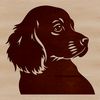 An illustration of a Cocker Spaniel's head, a popular dog breed known for its gentle nature.