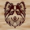 Vector Art of Shetland Sheepdog A breed profile illustration of the Shetland sheepdog.