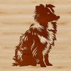 Small but Mighty Canine Companion A small to medium-sized dog breed with a thick coat and erect ears, sitting in a relaxed position.