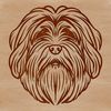 Detailed SVG Vector Art of a Cute Havanese Head A detailed illustration of a small dog's head, showcasing the breed characteristics of a Havanese.