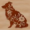 Seated Dog Vector Art for Design Projects A breed-specific illustration of a seated Australian Shepherd dog, suitable for use in design projects.