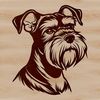A detailed illustration of a miniature dog breed with a distinctive beard and mustache.