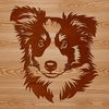 Vector Art of a Happy Sheltie A portrait illustration of a friendly Shetland sheepdog with its head held high.