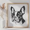 Detailed Dog Portrait SVG A illustration of a Boston Terrier's head with detailed facial features.