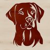 Friendly Labrador Face A Labrador Retriever's head, created as vector art for various design purposes.