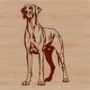 Standing Dog Clip Art Illustration A large breed dog, the Great Dane, standing upright.