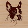 A digital illustration of a friendly Boston Terrier dog's head.