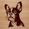 A digital illustration of a small dog breed with distinctive features.
