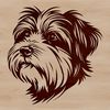 Beautiful Canine Head Design A stylized illustration of a Havanese dog's head, suitable for various design purposes.