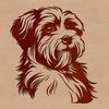 Free Vector Havanese Breed Illustration A cute, small breed dog with a long coat, representing the Havanese dog breed.