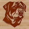Vector illustration of a Rottweiler dog with detailed head features.