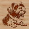 Beautiful Small Breed Dog Silhouette A small breed dog sitting on the floor with its head held high, a common depiction of a domesticated animal.