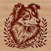 Portrait of a Shetland sheepdog breed dog's head, suitable for vector design projects.