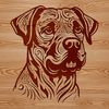 A detailed illustration of a Rottweiler dog's head in a vector format.