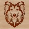 A detailed illustration of the head of a Shetland sheepdog, featuring its distinctive markings.