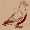 A realistic illustration of a dove, suitable for various graphic design applications.