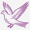 Beautiful White Bird Illustration White dove illustration in vector format.