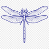 Vibrant Mid-Flyer Insect Illustration A colorful illustration of a dragonfly in mid-flight.