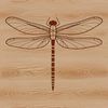 A colorful dragonfly in mid-flight, depicted as a simple yet detailed vector graphic.