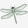 Vibrant Dragonfly Design for Digital Projects A colorful dragonfly design in vector format, suitable for various cutting machines and digital applications.