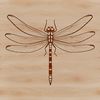 Free Dragonfly SVG Design Template A colorful dragonfly illustration in vector format.