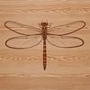 Mid-Air Dragonfly Vector Art A detailed vector illustration of a dragonfly in mid-air, designed for digital cutting machines like Cricut.