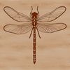A colorful dragonfly in flight, depicted as a vector graphic illustration.