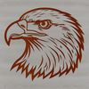 Free Eagle SVG Vector Art A detailed illustration of a bird's head with sharp facial features and distinctive plumage.