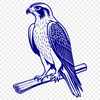 Bird Silhouette with Sharp Talons Vector Art An svg silhouette of a bird of prey with sharp talons outstretched.