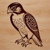 Falcon SVG Vector Artwork A detailed illustration of a falcon in flight, suitable for cutting or engraving.