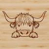 Rustic Farm Animal Portrait An illustration of a Highland Cow's head peeking out from behind a fence post on a rustic farm.