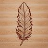 An intricately detailed vector illustration of a single feather in various angles.