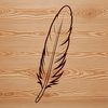 An intricately detailed vector illustration of a single feather in various directions.