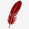 A single feather with detailed lines and textures, created as a vector graphic.