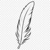 Delicate Feather Design A high-resolution digital illustration of a feather in vector format.