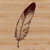 A detailed illustration of a feather with intricate lines and shapes.