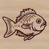 A colorful illustration of a freshwater crappie fish.