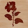 A digital representation of a Hibiscus flower, suitable for vector graphics and cutting machine designs.