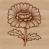 Close-up depiction of the layered petals of a blooming chrysanthemum plant.