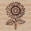 Field-Grown Sunflower Beauty A single sunflower with bright yellow petals and dark center, growing in a field or garden.