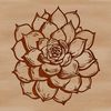 A detailed vector graphic of a desert-dwelling succulent, featuring intricate details on its foliage.