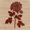 A single stem with a cluster of showy white chrysanthemum flowers, ideal for vector graphics and digital design.