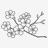 Vibrant Sakura Blooms in Full Color An ornate vector design featuring a single cherry blossom flower.