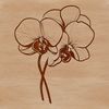 A delicate orchid flower with intricate details, suitable for vector design and print.