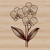Single White Orchid Illustration A high-quality digital illustration of a single white orchid flower on a dark background.