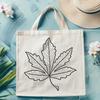 A detailed illustration of a leaf with delicate veins, suitable for vector designs.